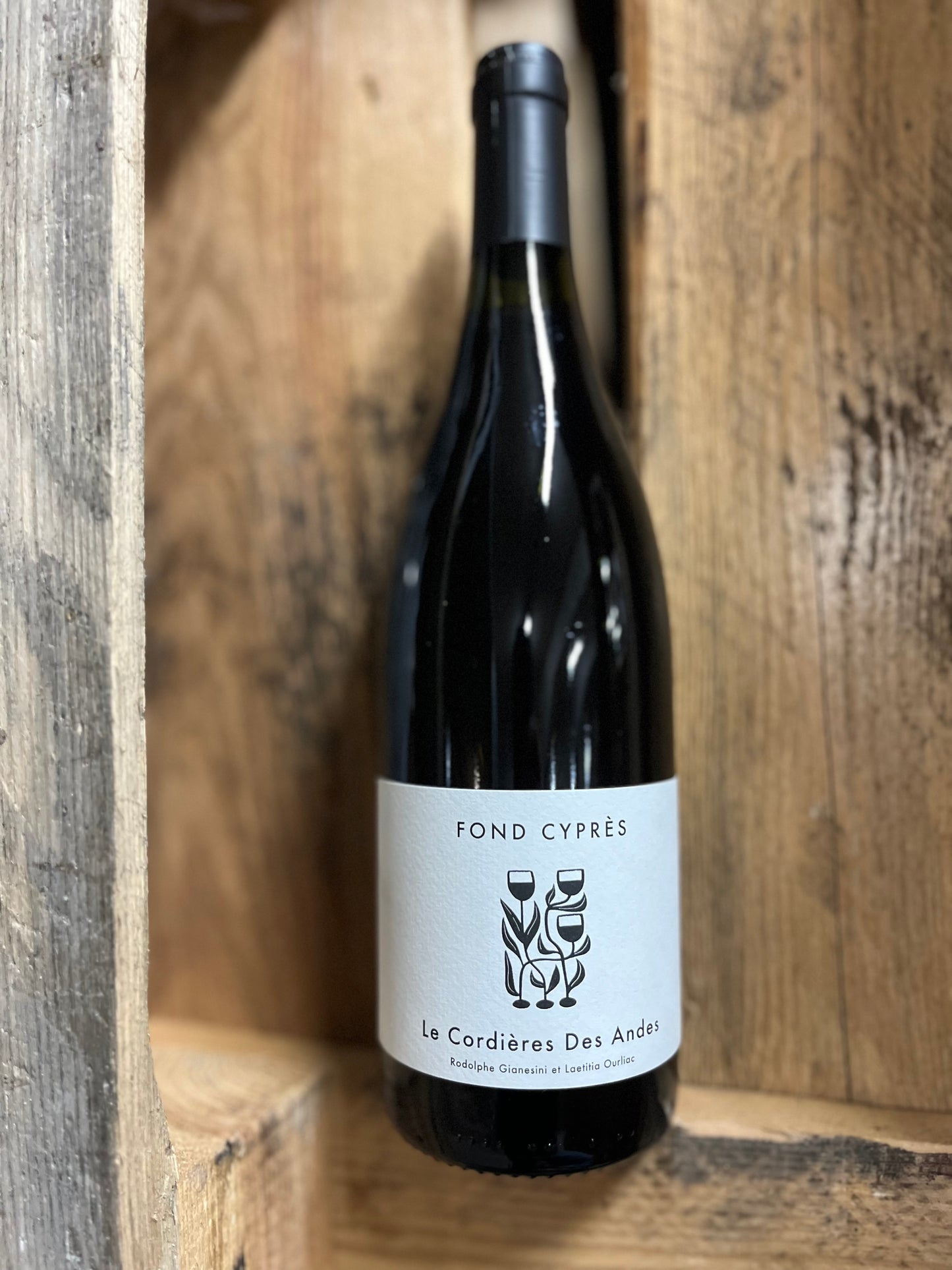 Fond Cyprès, Le Cordière des Andes 2022, Languedoc