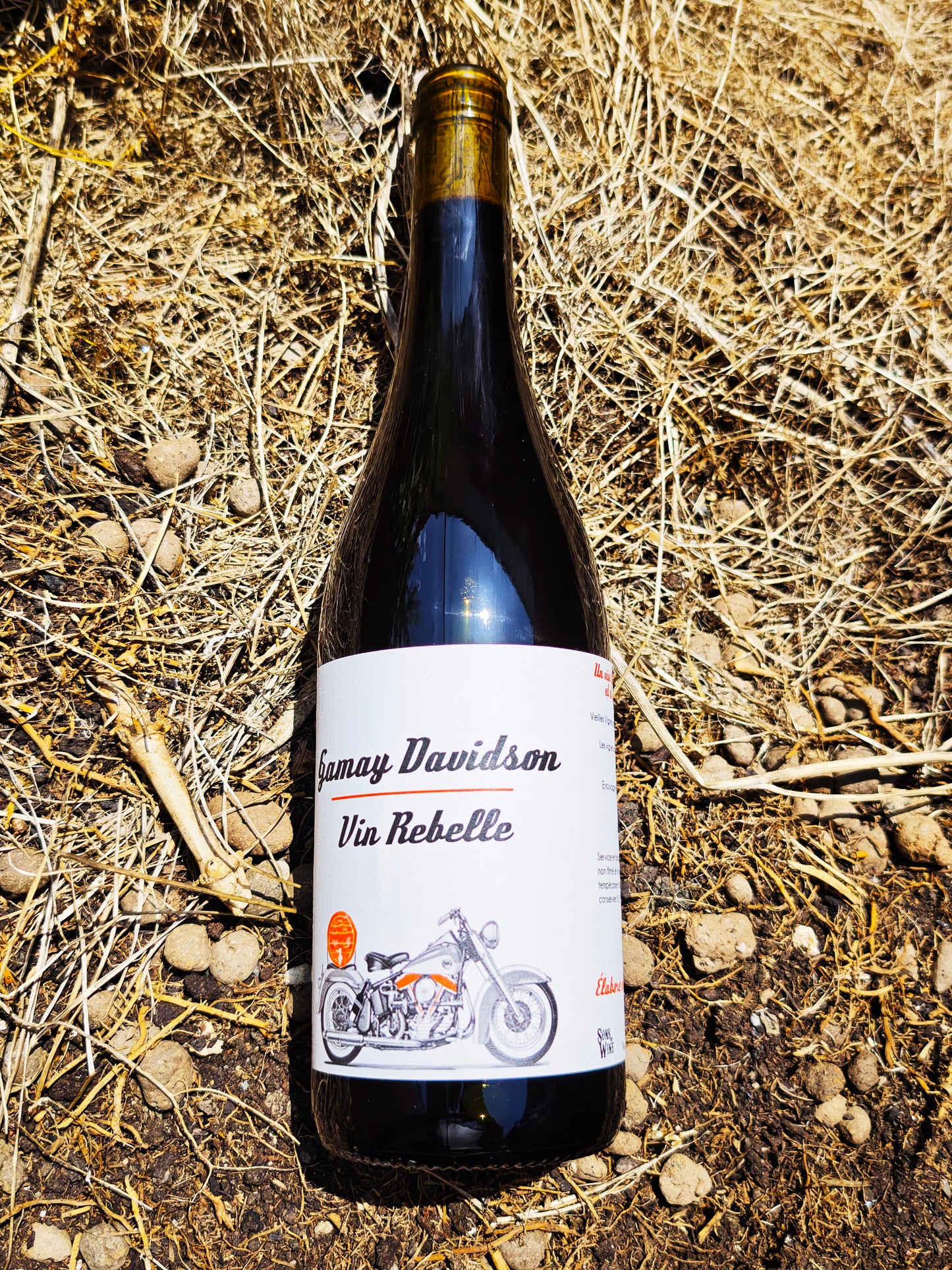 Sons of Wine, Pinot Escobar 2020, Alsace