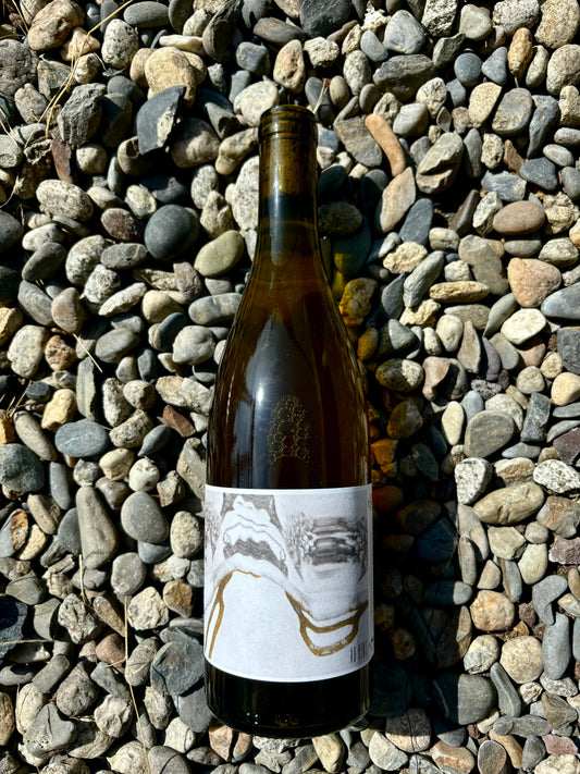 Ad Vinum, Au Vent 2021, Languedoc