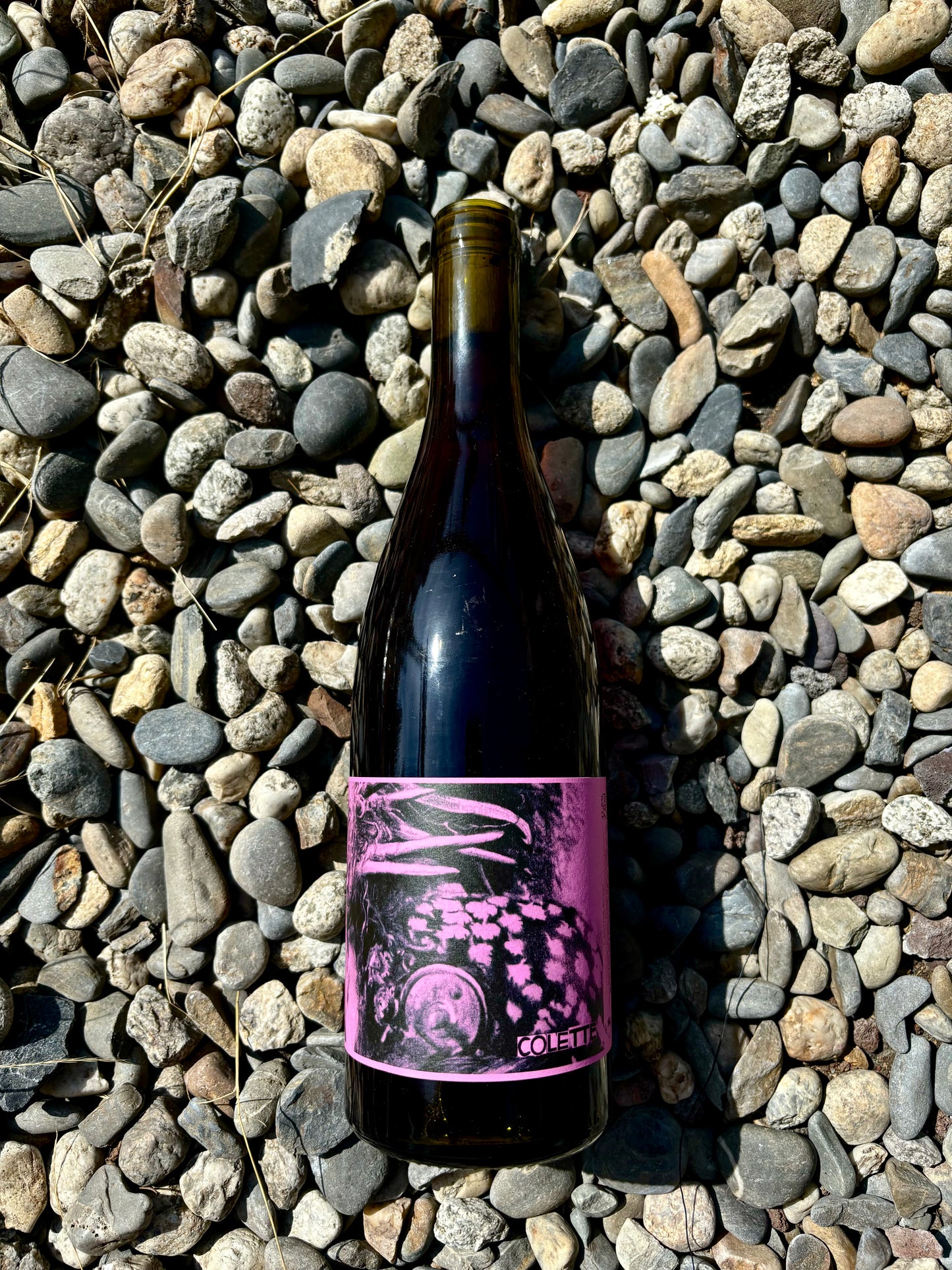 Ad Vinum, Colette 2022, Languedoc