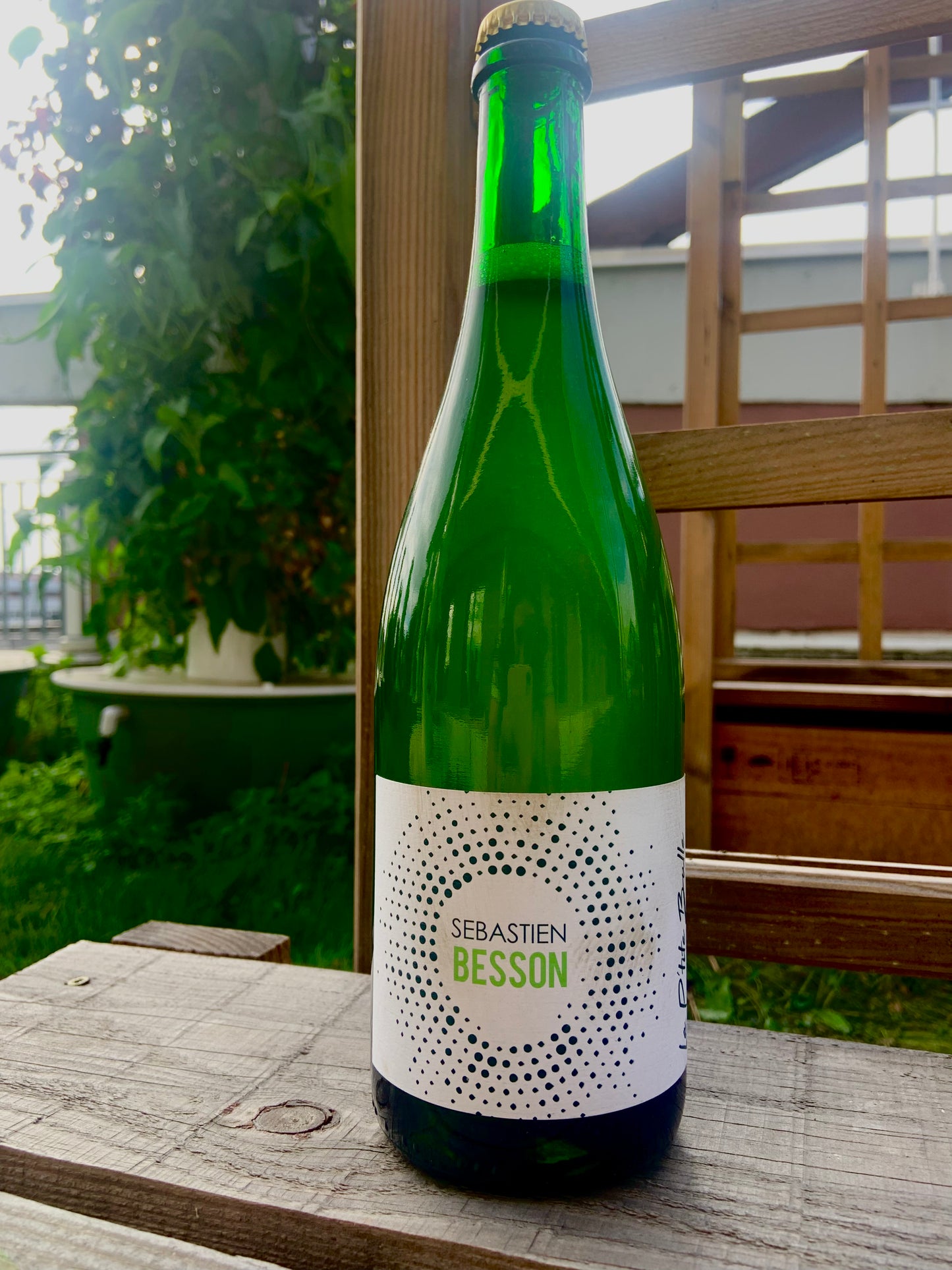 Domaine du Penlois, La P'tite Bulle 2022, Beaujolais
