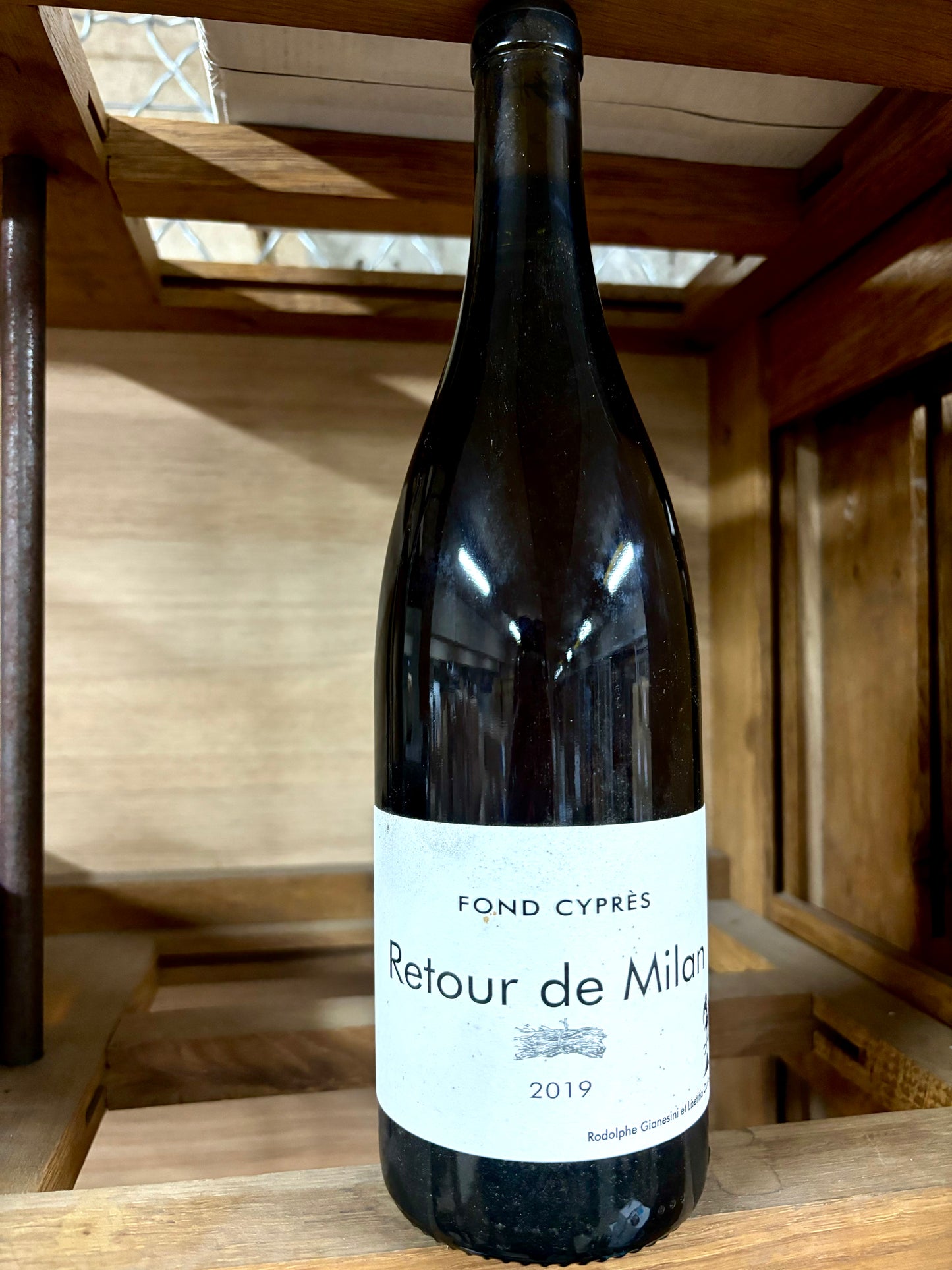 Fond cyprès, Retour de Milan 2021, Languedoc