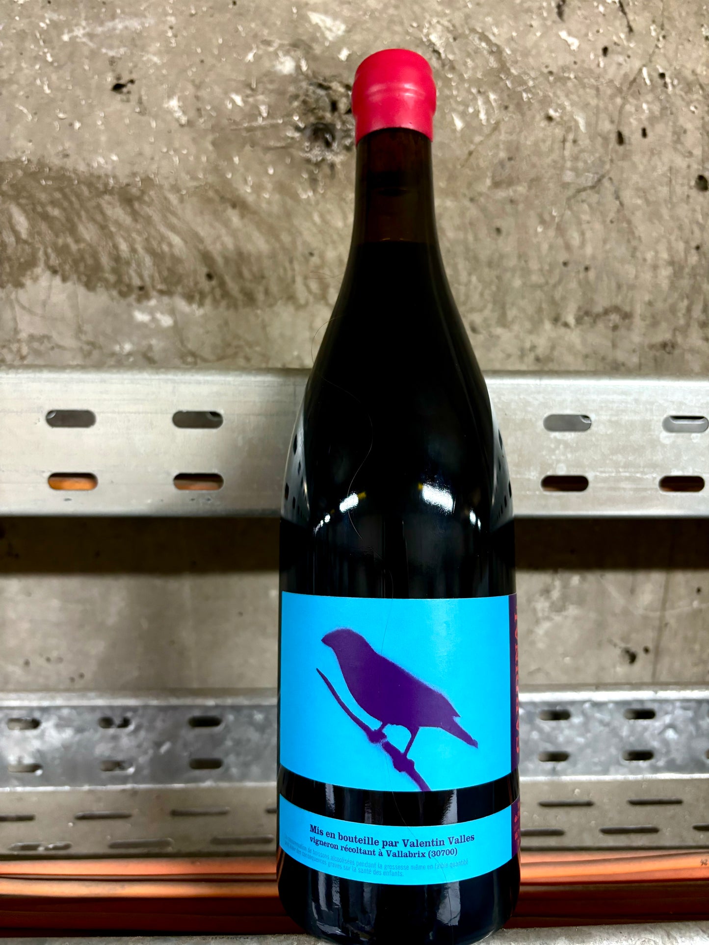 Valentin Valles, Cardinal 2021, Languedoc