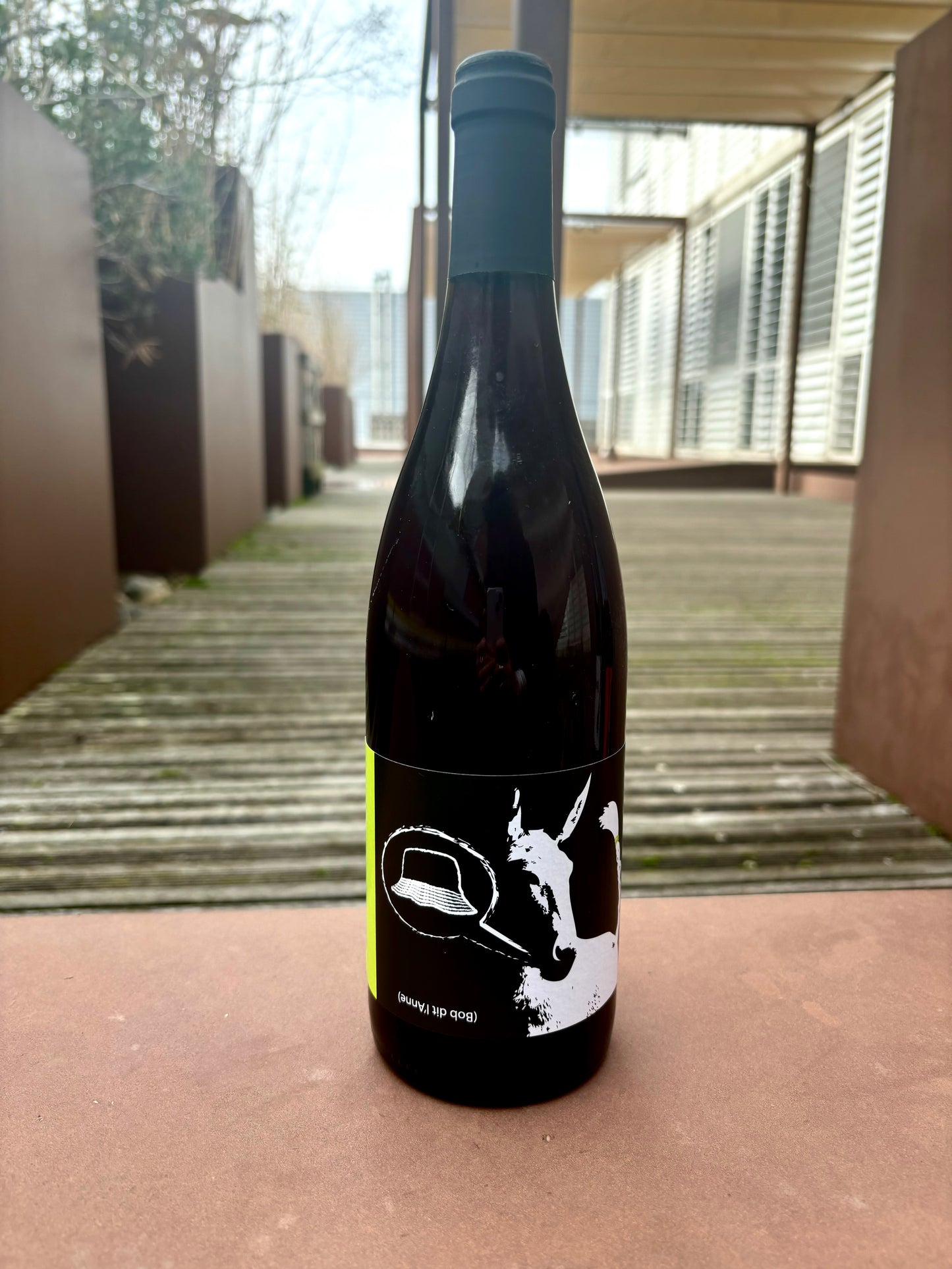 Autour de l’Anne, Bob dit l’Anne 2022, Languedoc