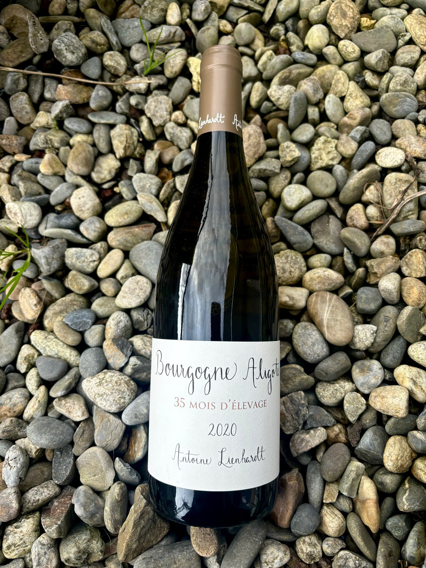 Antoine Lienhardt, Bourgogne Aligoté 2020 35 mois d'élevage, Bourgogne