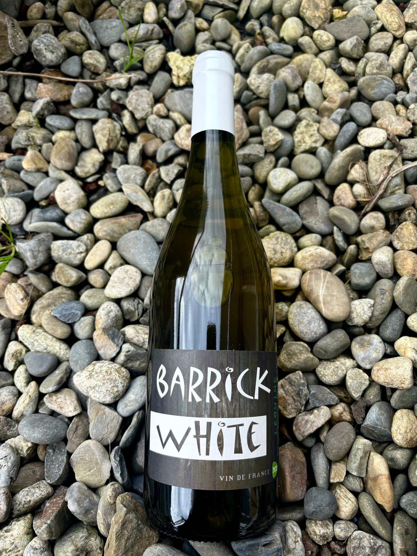 Domaine Léonine, Barrick White 2023, Pyrénées-Orientales