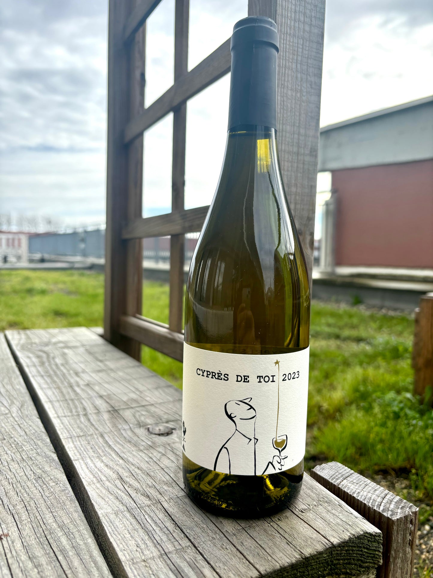 Fond Cyprès, Cyprès de Toi Blanc 2024, Languedoc