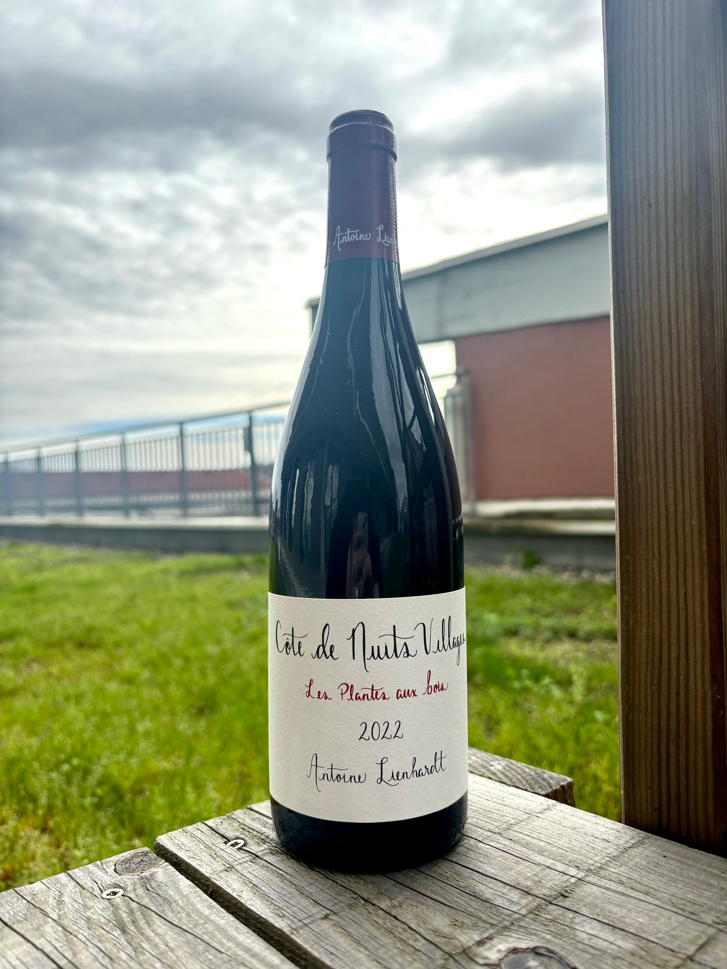 Antoine Lienhardt, Côtes de Nuits 2022, Les Plantes Aux Bois, Bourgogne