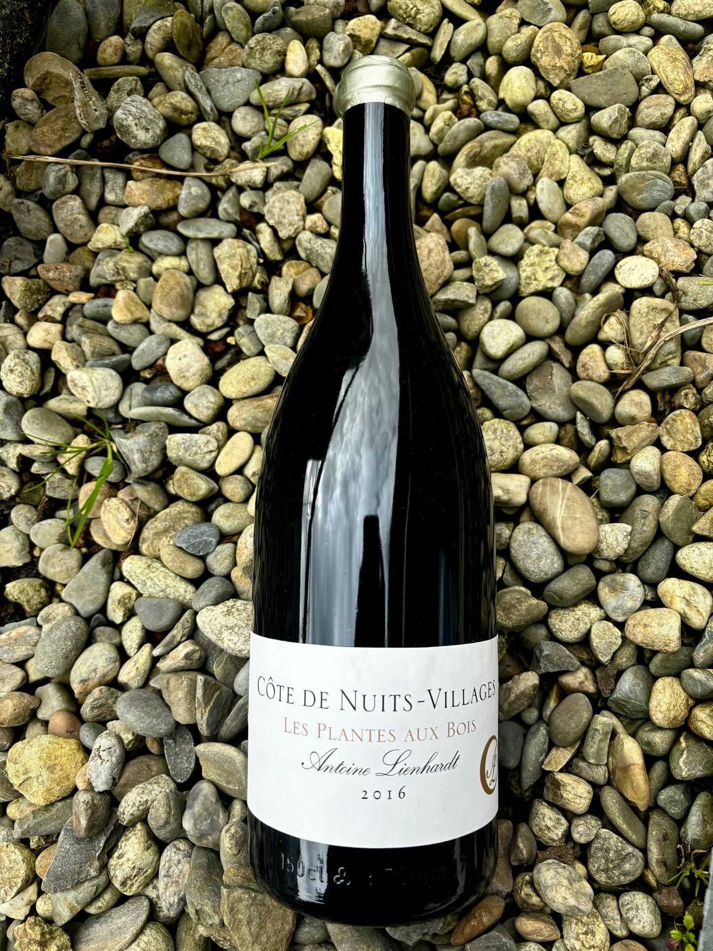 Antoine Lienhardt, Côte de Nuits, Les Plantes Aux Bois 2016 Magnum, Bourgogne