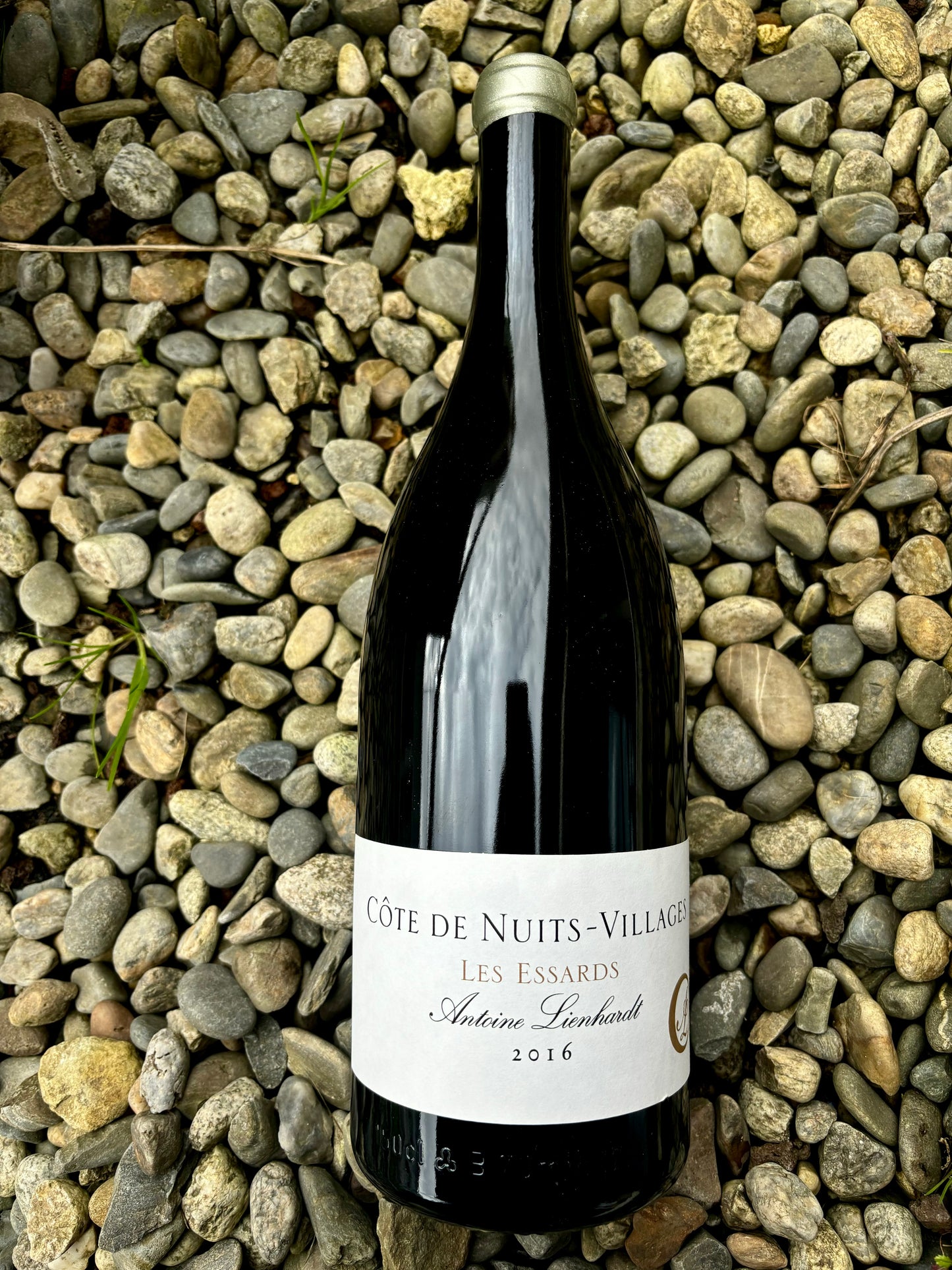 Antoine Lienhardt, Côte de Nuits, Les Essards 2016 Magnum, Bourgogne