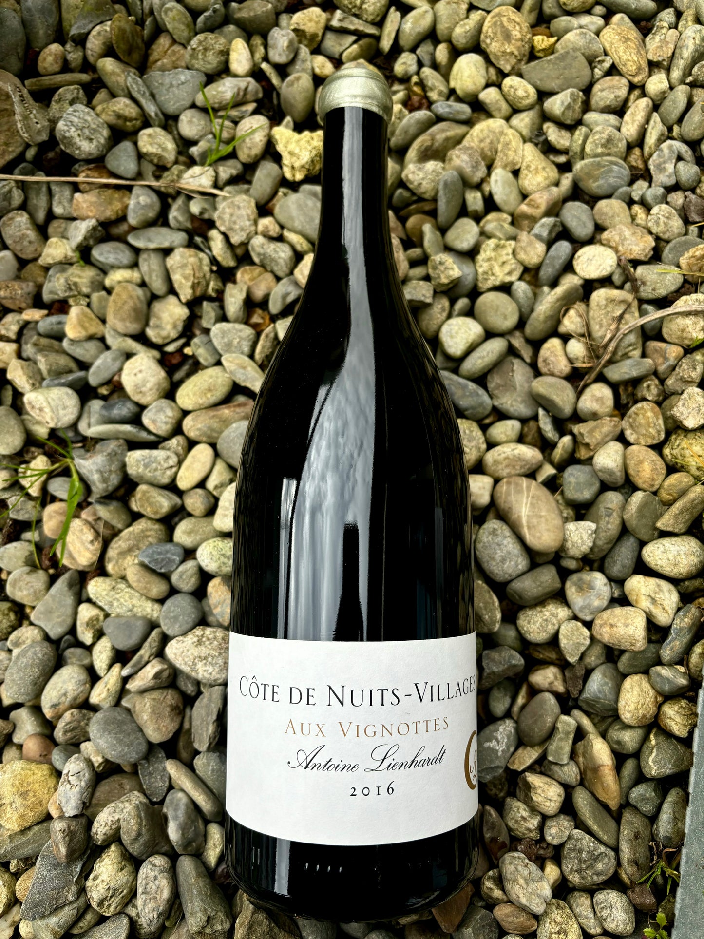 Antoine Lienhardt, Côte de Nuits, Aux Vignottes 2016 Magnum, Bourgogne