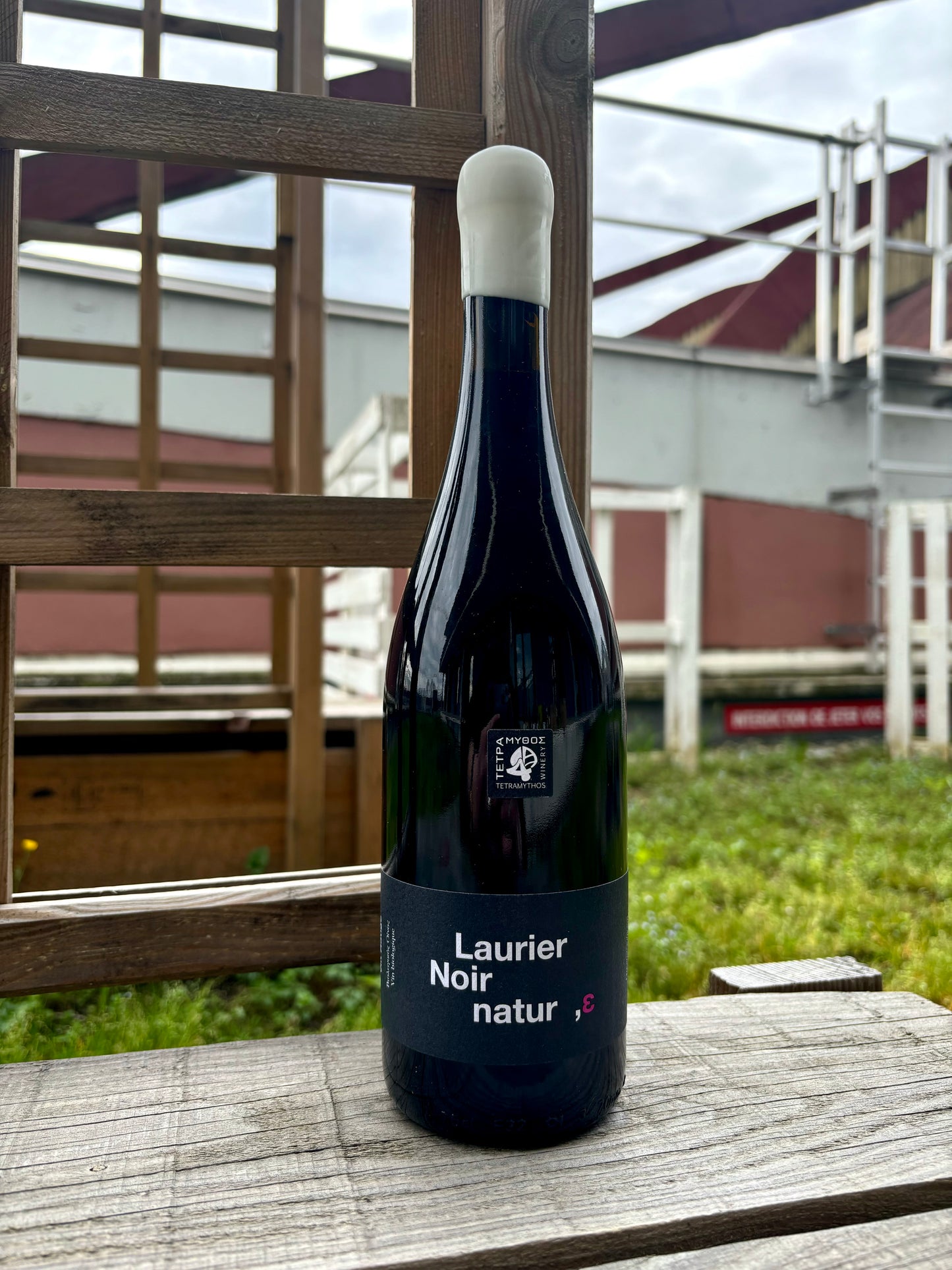 Laurier Noir 2021, Tetramythos