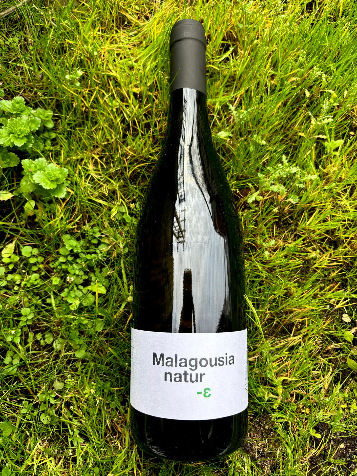 IGP Péloponnèse, Malagousia Naturε, Domaine Tetramythos 2022, 75 cl