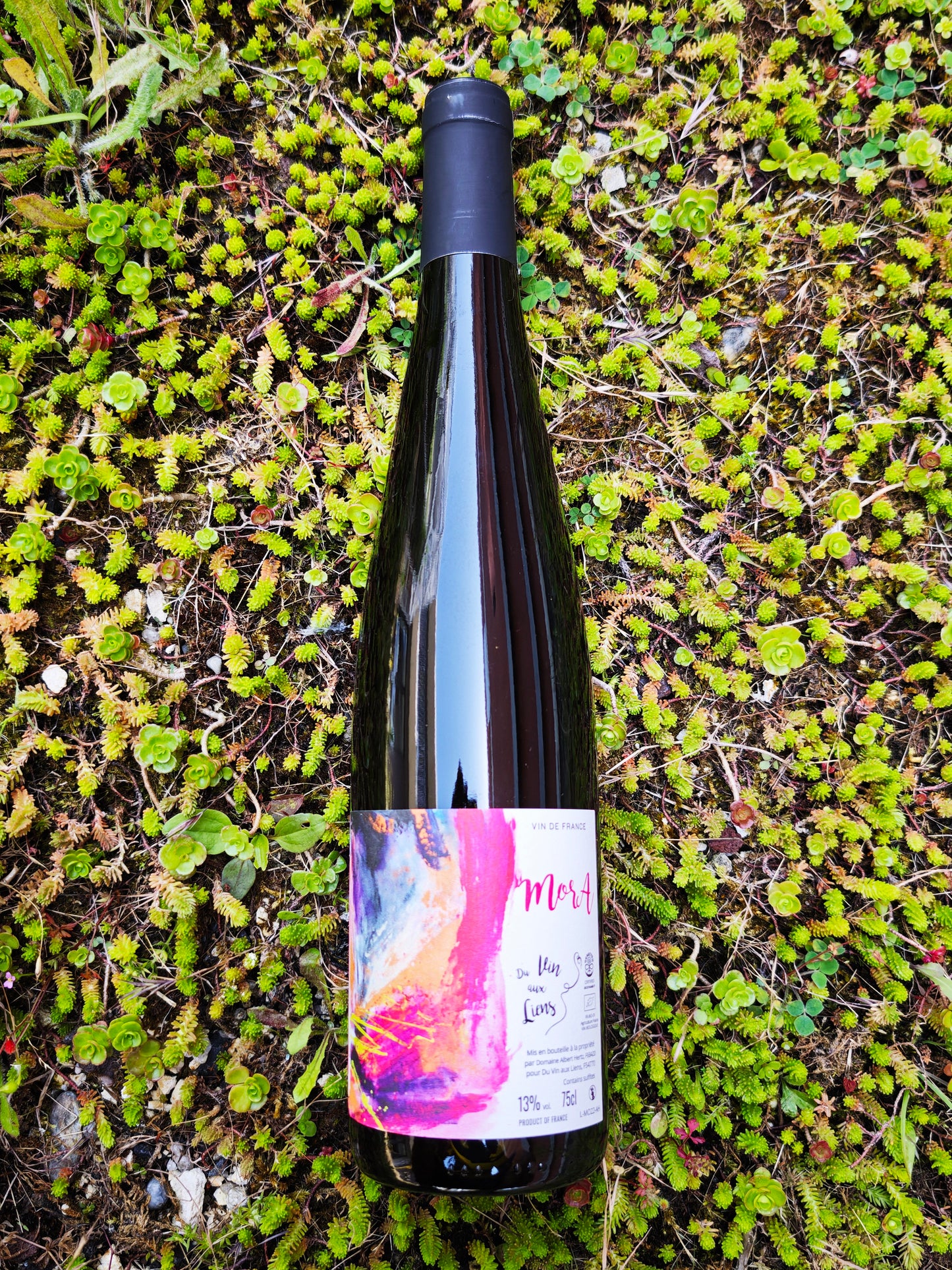 Du Vin aux Liens, Mora 2022, Alsace