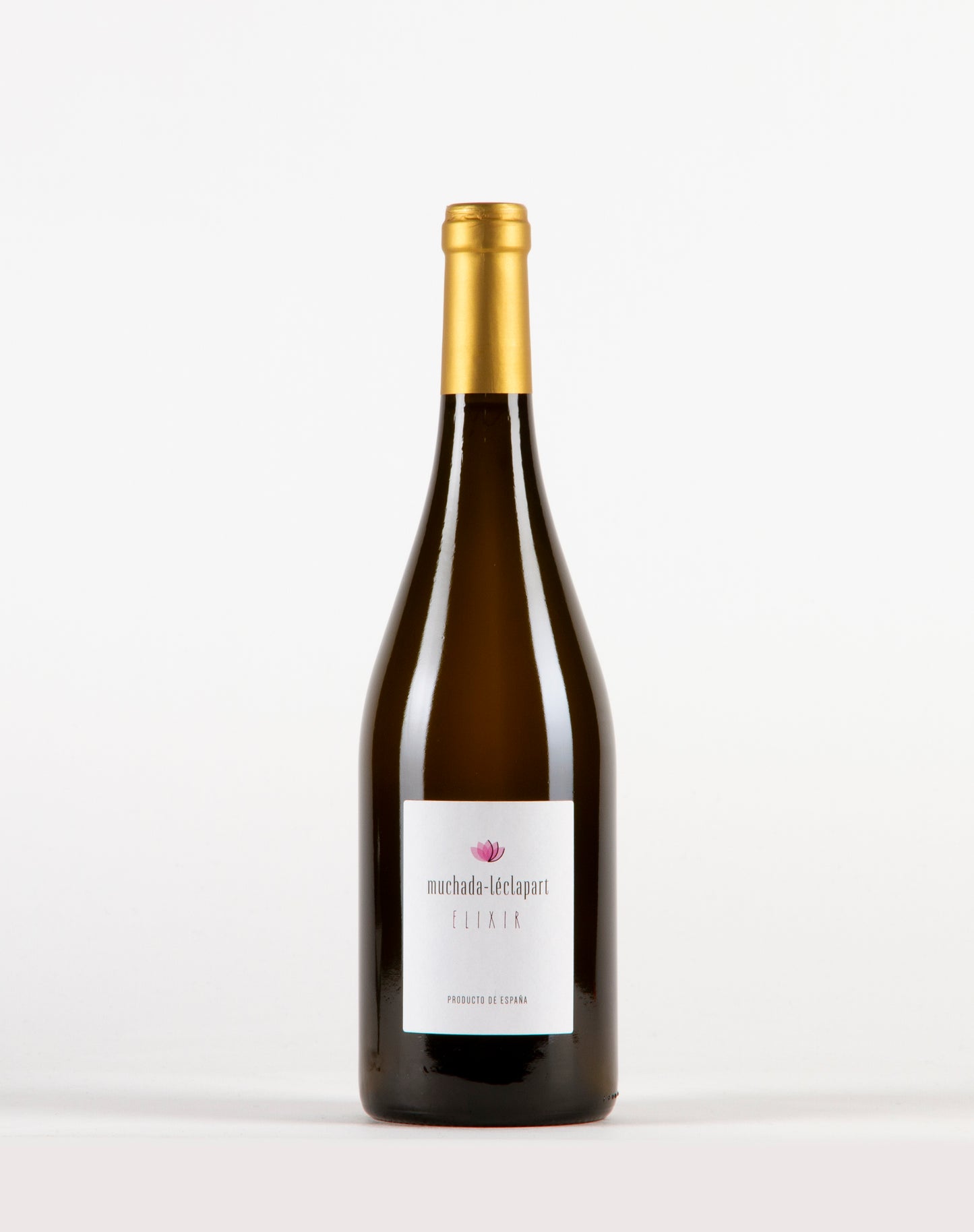 Muchada Léclapart, Elixir 2018, Etranger