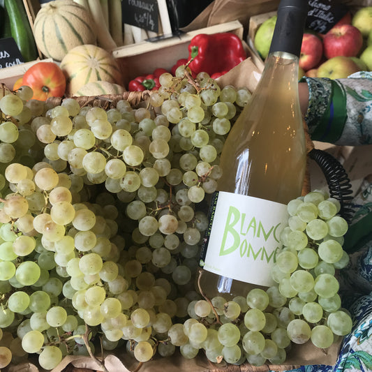 Bascule, Blanc Bonnet 2020, Pyrénées-Orientales (-15%)