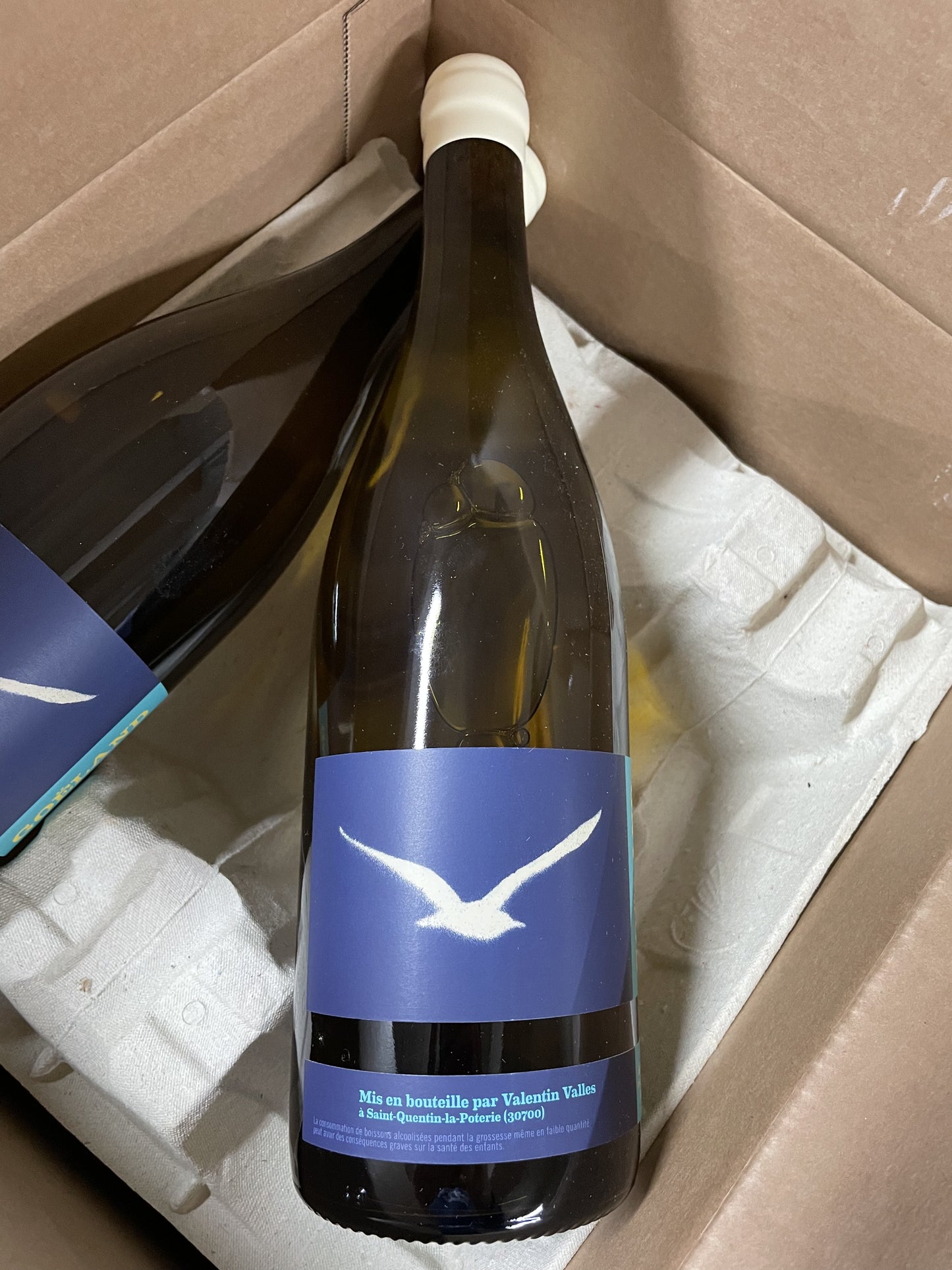Valentin Valles, Goeland 2019, Languedoc