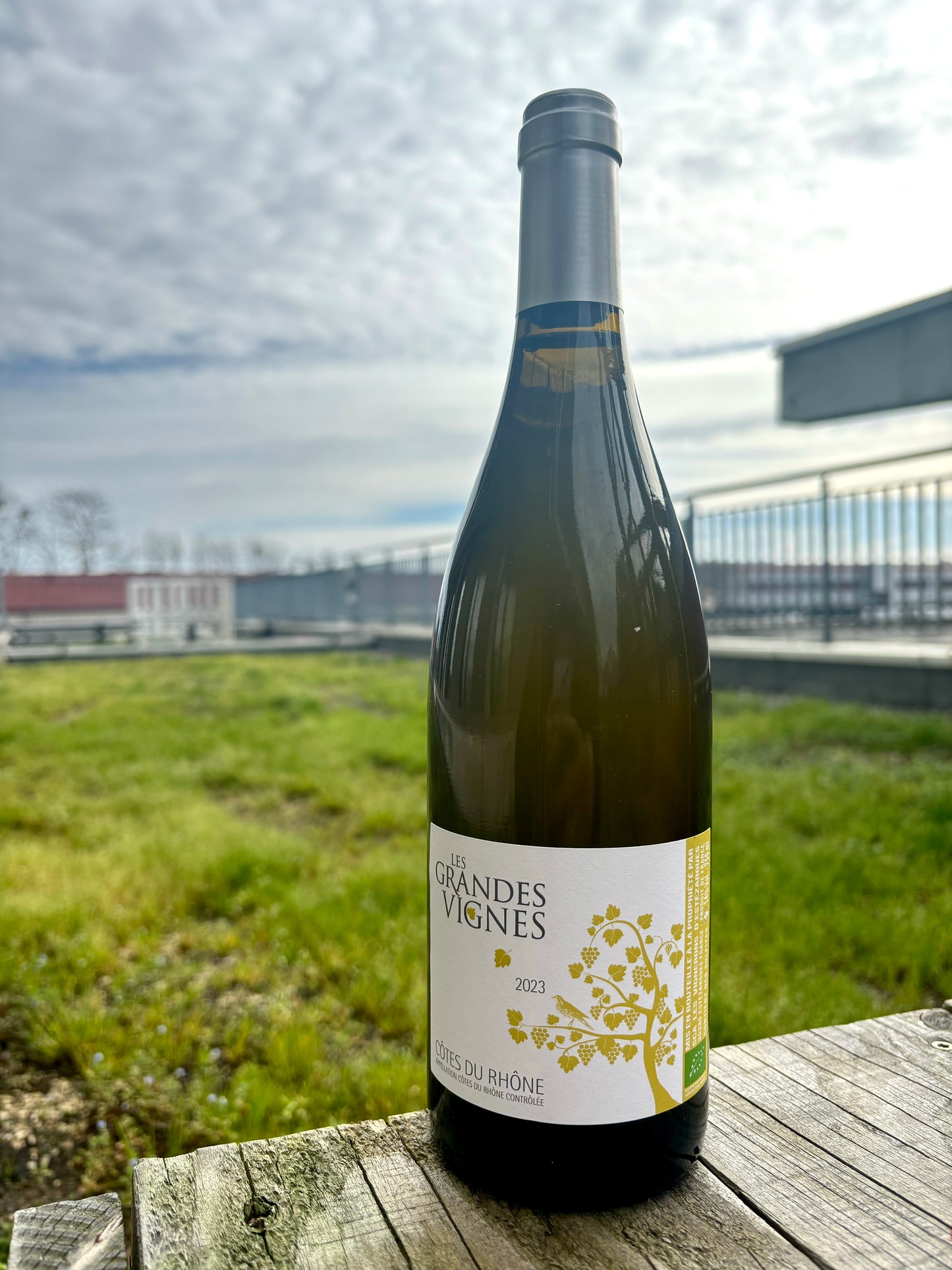 Les Vignerons d’Estézargues, Côtes du Rhône,  Les Grandes Vignes Blanc 2023, Rhône